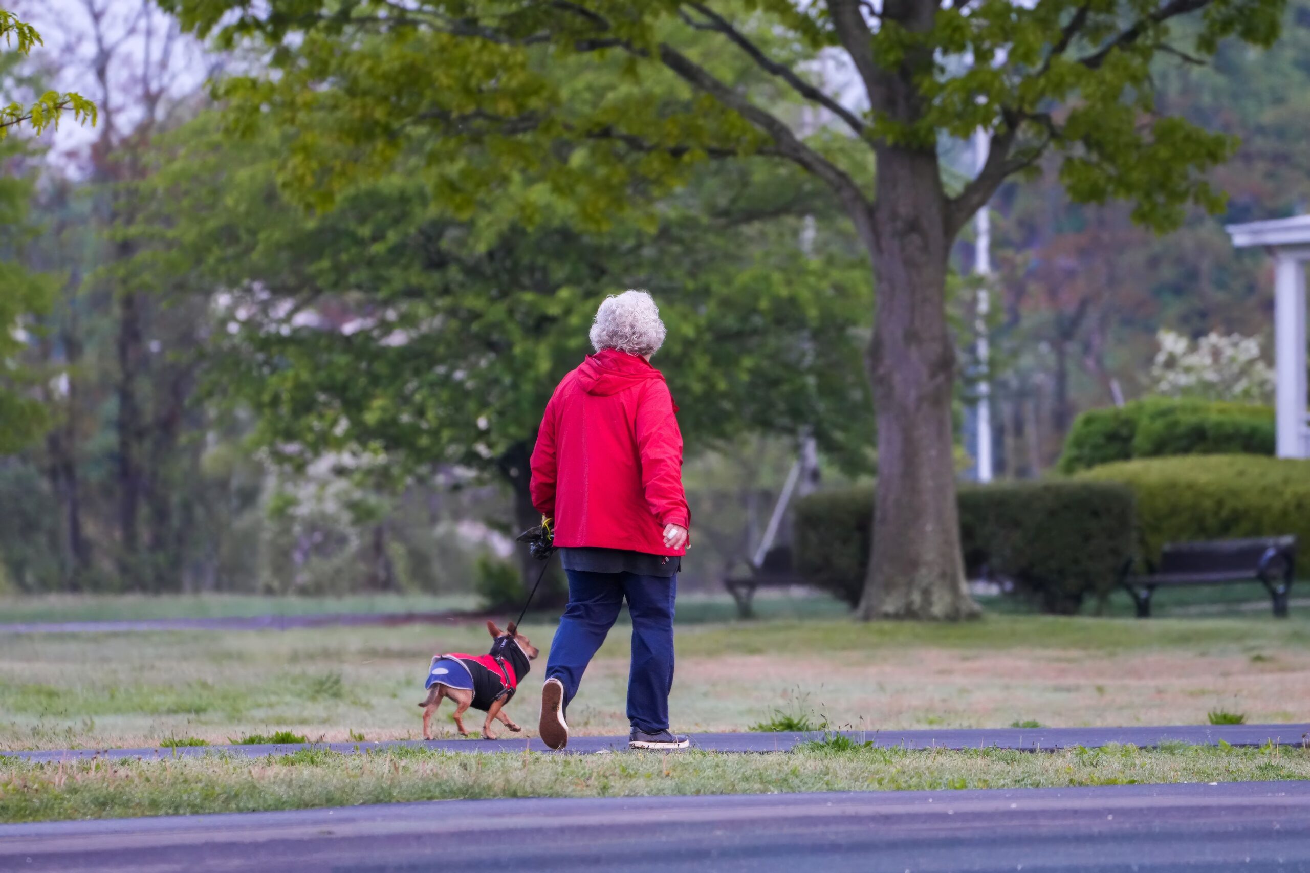 Walking Etiquette: Simple Tips for Sharing Paths Respectfully