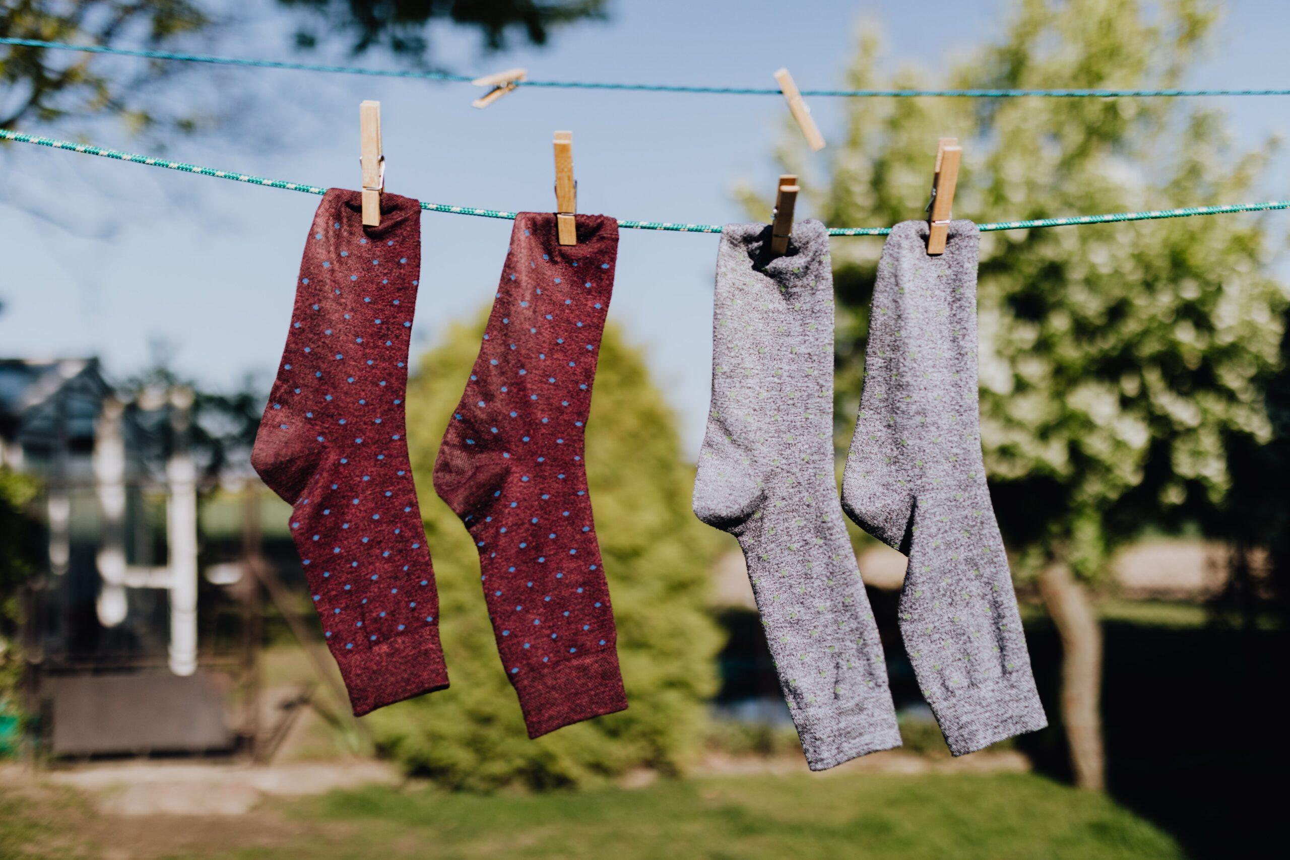 Best Walking Socks (2026): Comfortable Socks to Prevent Blisters and Keep Your Feet Dry