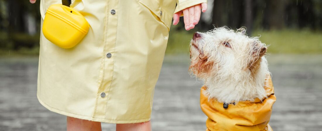Best Rain Jackets for Walking (2026): Stay Dry and Comfortable in Wet Weather