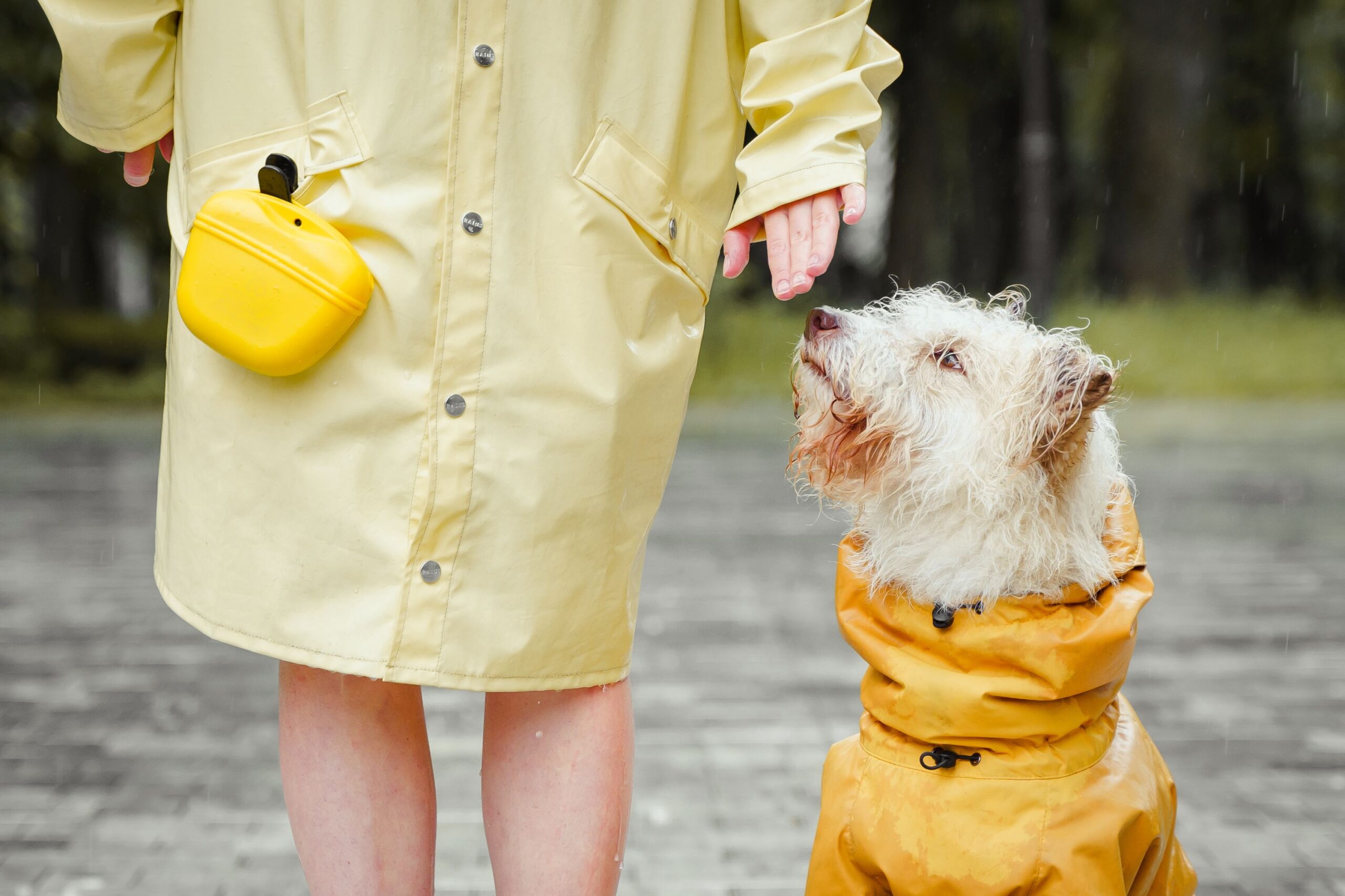 Best Rain Jackets for Walking (2026): Stay Dry and Comfortable in Wet Weather